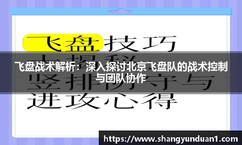 飞盘战术解析：深入探讨北京飞盘队的战术控制与团队协作